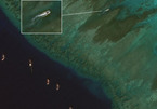 Việt Nam lên tiếng về tàu Trung Quốc cào nghêu phá hoại môi trường Biển Đông