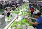 Exploiting FTAs: milk and fabric companies seek opportunities