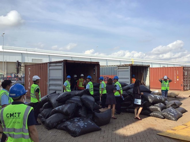 Over 5 tonnes of pangolin scales discovered in Ba Ria-Vung Tau