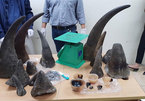 Slow progress in fight against illegal wildlife trade