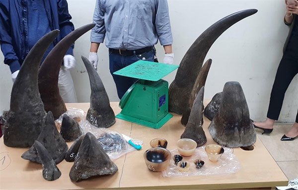 Slow progress in fight against illegal wildlife trade