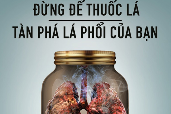 2019, khẩu hiệu ‘Đừng tàn phá lá phổi’