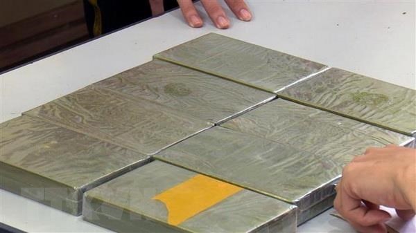 Ha Nam: man arrested for illegal transportation of 10 heroin bricks