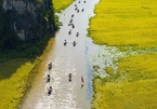 Ninh Bình's river of rice