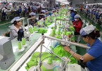 Vietnam’s textile industry strives to find new markets
