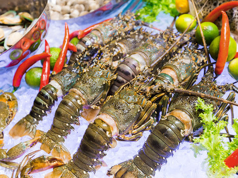 Vietnam to promote shrimp exports to EU next year