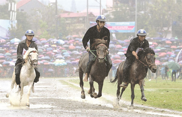 Horse festival in Lao Cai to celebrate northern highlands culture, sports