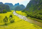 Vietnam to introduce tourism in RoK and Taiwan