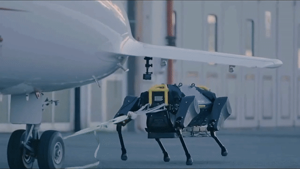 Robot chó khoe sức mạnh kéo máy bay hơn 3 tấn trên đường băng