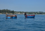 Mollusc harvest season begins in central Vietnam