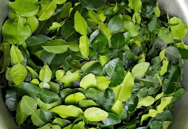 Lá chanh Thái Lan triệu đồng/kg vẫn mua ăn: Dân Việt cuồng thật