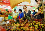 Suoi Tien Theme Park set for annual Southern Fruit Festival