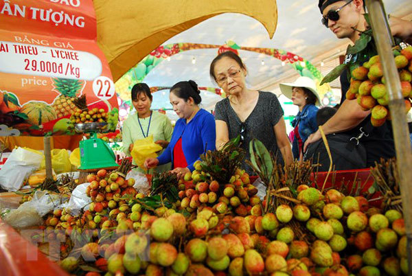 Suoi Tien Theme Park set for annual Southern Fruit Festival