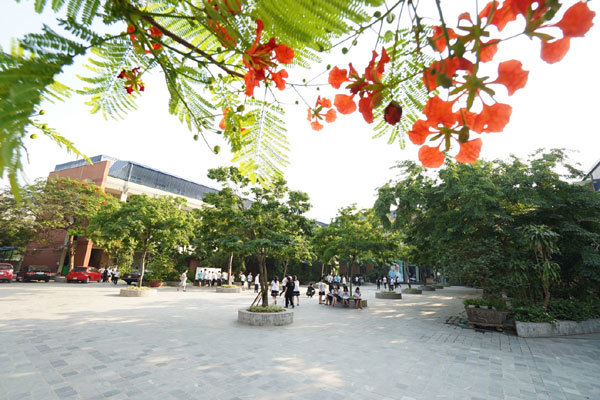 Thầy Toán trường Lương Thế Vinh mách nước HS lớp 10 đạt điểm cao