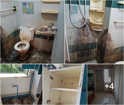 Nhận nhà sau 9 năm cho thuê chủ nhà sững sờ với cảnh tượng bên trong