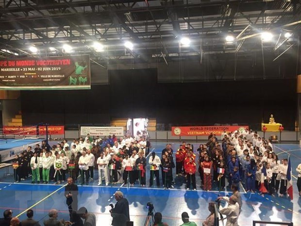 First Vietnamese martial arts world cup held in France