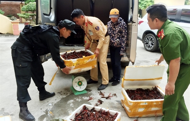 Deputy Prime Minister asks for investigation on red-claw crayfish