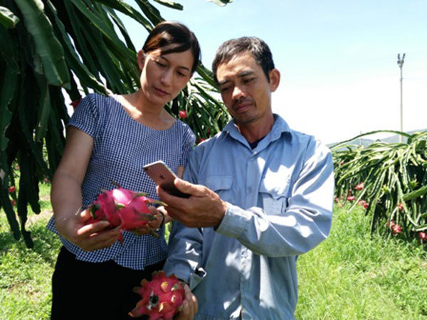 Fruit farmers strike it rich in northern Vietnam