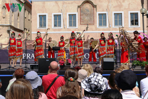 Vietnamese culture introduced at Czech ethnic minority festival