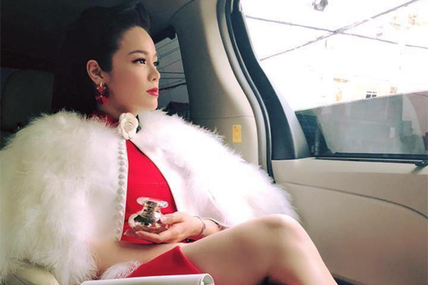 Nhật Kim Anh không cần chồng vẫn giàu nứt vách