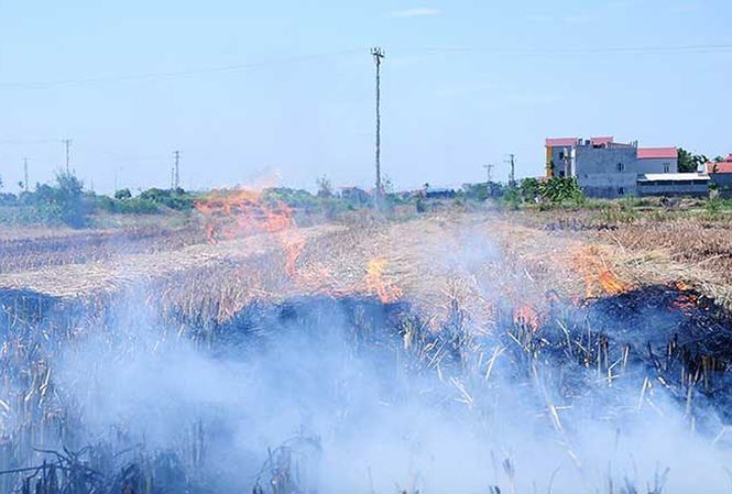 Straw burning worsens Hanoi suburban air pollution