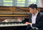Chú mèo thích được mát-xa bằng tiếng đàn piano của thầy giáo Sài Gòn
