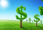 Green financing: banks pull back