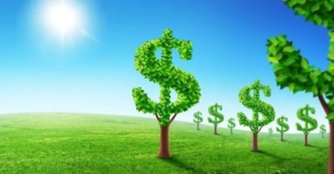 Green financing: banks pull back