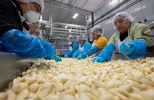 Economies look to spread trade risks