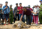 Man saves turtles’ lives