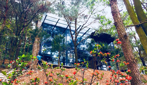 Homestays that reap big profits spring up in central Vietnam