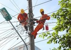 Vietnam Electricity Group to complete divestment in 2019