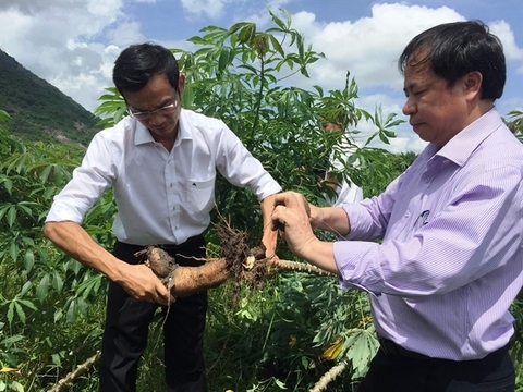 VN’s agricultural products face barriers to enter Chinese market