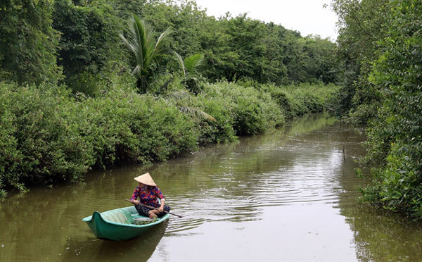 Kien Giang recovers protective forests