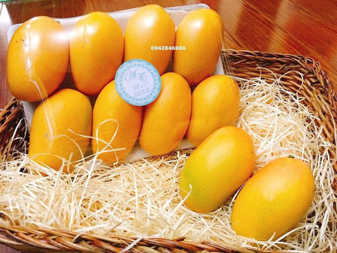 Chị em 'phát sốt' với xoài mini nhập khẩu giá gần 200.000 đồng/quả