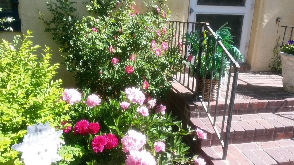 Chồng lương 50 triệu/tháng, vợ vẫn say tình anh thợ cắt tóc nghèo