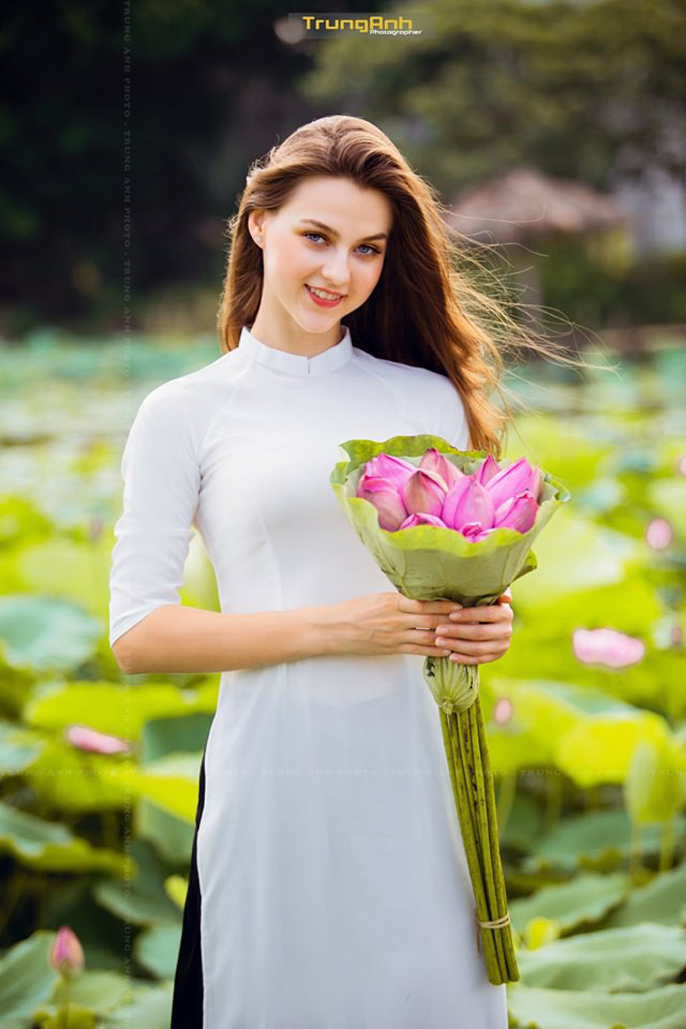 Hoa sen Hồ Tây là một trong những thước phim đẹp nhất về mùa sen tại Hà Nội. Cứ mỗi độ sụp đổ của nắng, hàng trăm bông hoa sen lại rực rỡ chao đời trên tảng đá đồi sen bên bờ hồ Tây. Hãy cùng đắm chìm vào vẻ đẹp tuyệt vời này nhé!