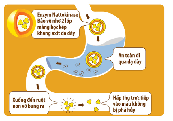 Nguyên nhân gây mỡ máu cao