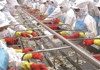 Mitsui raises Vietnam's Minh Phu Seafood stake to 35 percent