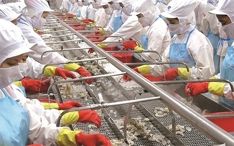 Mitsui raises Vietnam's Minh Phu Seafood stake to 35 percent