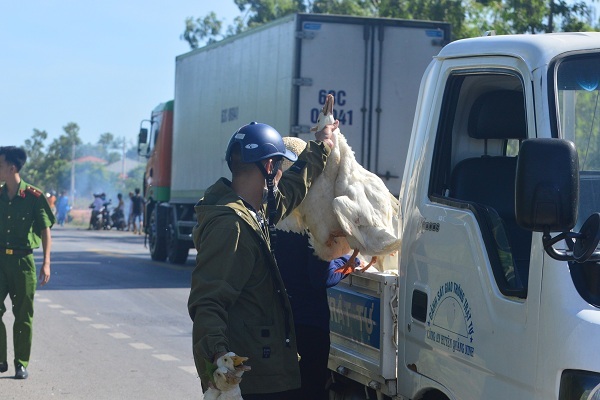 Xe tải chở vịt lật ở Quảng Bình và hành động bất ngờ của công an