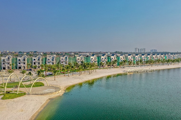 Vingroup thả 50 tấn cá xuống hồ Vinhomes Ocean Park