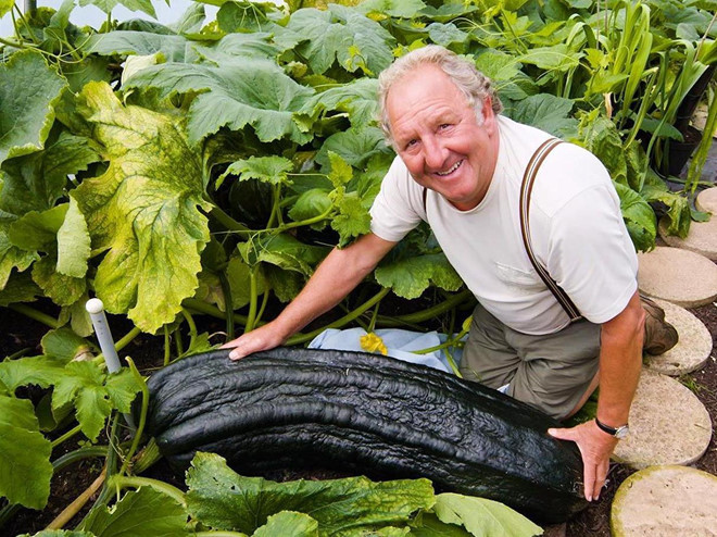 Thăm vườn rau 'siêu to khổng lồ', bí nặng 45 kg, bắp cải 55 kg