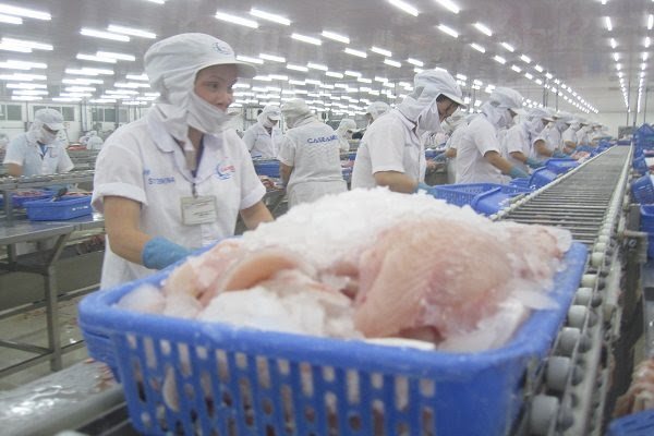 Overview of Vietnam's seafood export in July