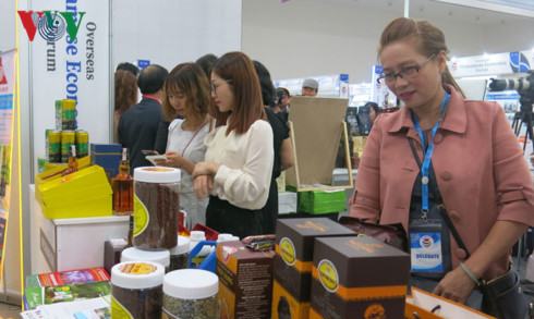 Overseas Vietnamese entrepreneurs join forces to do business in Vietnam