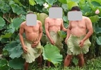 3 người đàn ông cởi đồ chụp ảnh với sen gây xôn xao