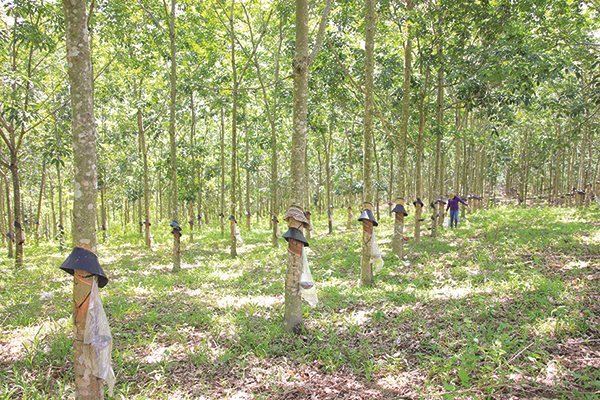 Real estate market focuses on industrial zones