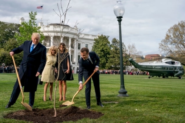 Tổng thống Pháp sẽ gửi tặng ông Trump cây mới