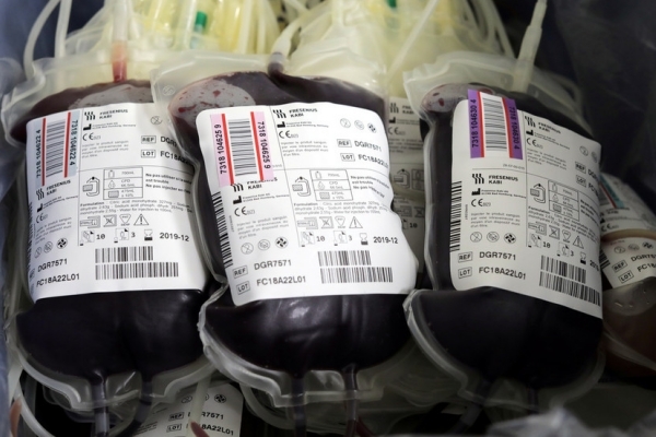Nhà khoa học tìm ra cách chuyển tất cả nhóm máu thành nhóm O