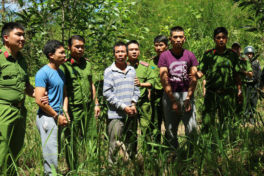 Man arrested over Lam Dong deforestation case